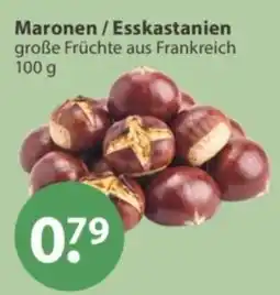 V Markt Maronen / Esskastanien Angebot