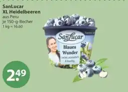 V Markt SanLucar XL Heidelbeeren Angebot