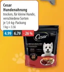 V Markt Cesar Hundenahrung Angebot