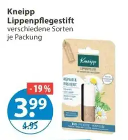 V Markt Kneipp Lippenpflegestift Angebot