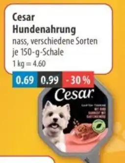 V Markt Cesar Hundenahrung Angebot
