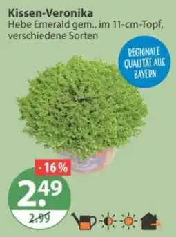 V Markt Kissen-Veronika Hebe Emerald Angebot