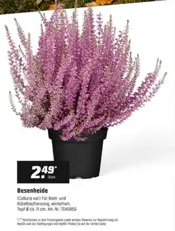 OBI Besenheide Angebot