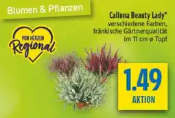 diska Calluna Beauty Lady Angebot