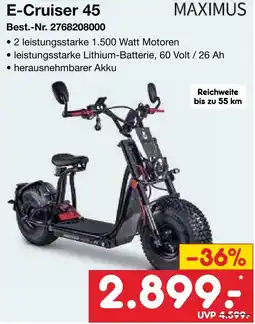 Netto Marken-Discount E-Cruiser 45 MAXIMUS Angebot