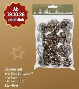 METRO Zapfen mit weißen Spitzen Angebot