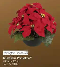 METRO Tarrington House Künstliche Poinsettia Angebot