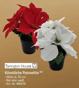 METRO Tarrington House Künstliche Poinsettia Angebot