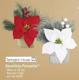 METRO Tarrington House Künstliche Poinsettia Angebot