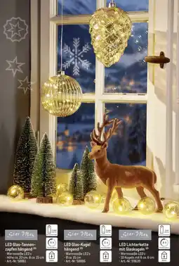 METRO Star-Max LED Lichterkette mit Glaskugeln Angebot