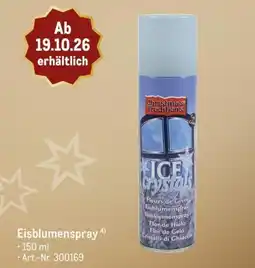 METRO Eisblumenspray Angebot