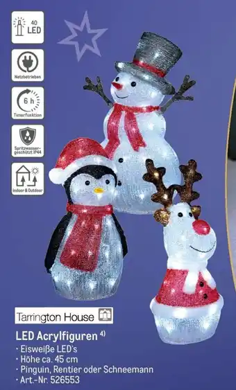 Tarrington House LED Acrylfiguren