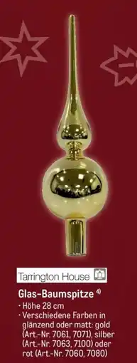 METRO Tarrington House Glas-Baumspitze Angebot