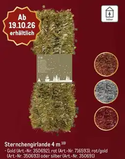 METRO Sternchengirlande Angebot