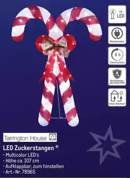 METRO Tarrington House LED Zuckerstangen Angebot