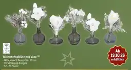 METRO DPI Weihnachtsblüte mit Vase Angebot
