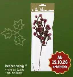METRO Beerenzweig Angebot