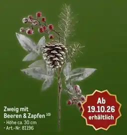 METRO Zweig mit Beeren & Zapfen Angebot