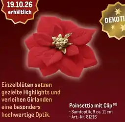 METRO Poinsettia mit Clip Angebot