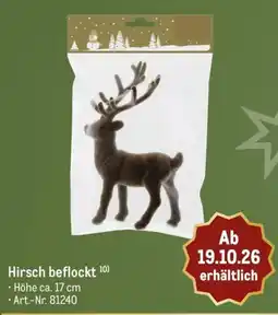 METRO Hirsch beflockt Angebot