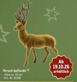 METRO Hirsch beflockt Angebot
