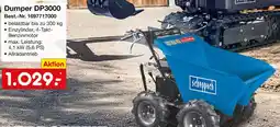 Netto Marken-Discount Scheppach Dumper DP3000 Angebot