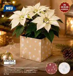 METRO GOLDINA Flowerpot Angebot