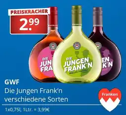 Sagasser Die Jungen Frank'n Angebot