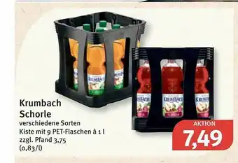 Feneberg Krumbach Schorle Angebot