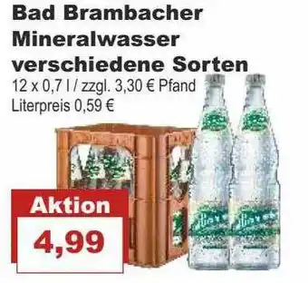 Bilgro Bad Brambacher Mineralwasser Angebot