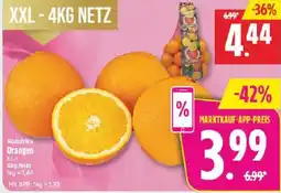 Marktkauf Orangen Angebot