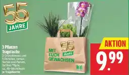 Marktkauf 55 JAHRE Angebot