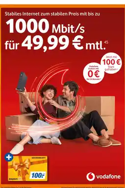 Expert Stabiles Internet Angebot