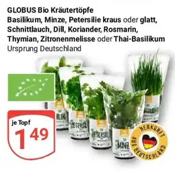 Globus GLOBUS Bio Kräutertöpfe Basilikum, Minze, Petersilie kraus oder glatt, Schnittlauch, Dill, Koriander, Rosmarin Angebot
