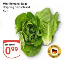 Globus Mini-Romana-Salat Angebot