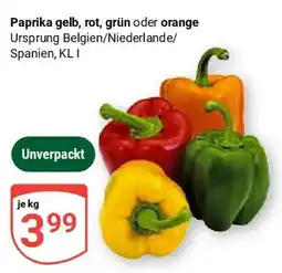 Globus Paprika gelb, rot, grün oder orange Angebot