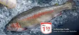 Globus Rotfleischige Forelle Angebot