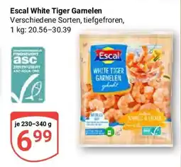 Globus Escal White Tiger Garnelen Angebot