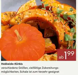 Pflanzen Kölle Hokkaido-Kürbis Angebot