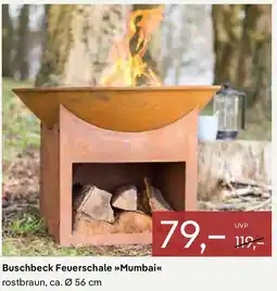 Pflanzen Kölle Buschbeck Feuerschale Mumbai Angebot