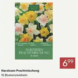 Pflanzen Kölle Narzissen Prachtmischung Angebot