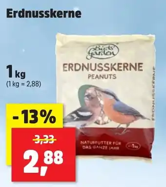 Birds Garden Erdnusskerne