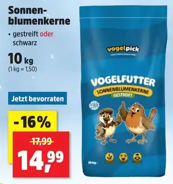 Vogelfutter Sonnenblumenkerne gestreift