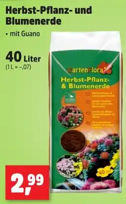 Thomas Philipps GartenFlora Herbst-Pflanz- und Blumenerde Angebot