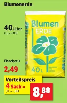 Thomas Philipps Blumenerde Angebot