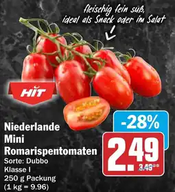 AEZ HIT Niederlande Mini Romarispentomaten Angebot