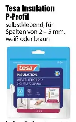 V Baumarkt Tesa Insulation P-Profil Angebot