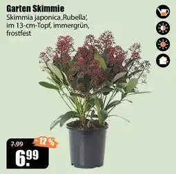 V Baumarkt Garten Skimmie Angebot