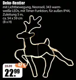 V Baumarkt Deko-Rentier Angebot