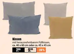 V Baumarkt Kissen Angebot